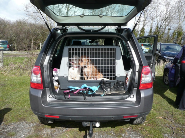 freelander 2 dog cage