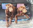 2012-04-30_09-22-09_HDRb.jpg