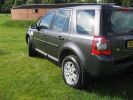 Freelander 008 (Large).jpg