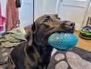 20220112_140940.jpg