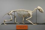 Filename : 054D3FD0-B92D-4649-8452-4BBFD01D4849.jpeg
Filesize : 71KB
Dimensions : 500x333
Date added : May 04, 2018 054D3FD0-B92D-4649-8452-4BBFD01D4849.jpeg