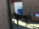 Filename : 44349A7D-A2A9-4F94-B7B1-3D459EB44A0A.jpeg
Filesize : 269KB
Dimensions : 1280x960
Date added : May 06, 2018 44349A7D-A2A9-4F94-B7B1-3D459EB44A0A.jpeg