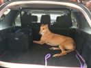 Filename : IMG_0315.JPG
Filesize : 127KB
Dimensions : 1280x960
Date added : Aug 24, 2017 IMG_0315.JPG