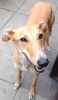 Filename : image~9.jpg
Filesize : 66KB
Dimensions : 558x960
Date added : Aug 28, 2013 image~9.jpg