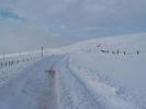 winter 2010 049.JPG