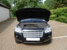 Freelander 2 -38.jpg