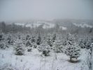 DSCN2433.JPG