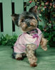 Filename : Missy_600dpi_2.jpg
Filesize : 117KB
Dimensions : 746x959
Date added : Mar 11, 2019 Missy_600dpi_2.jpg
