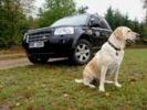 Freelander 2_44.JPG