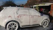 Filename : snowfoan ds.JPG
Filesize : 340KB
Dimensions : 1707x960
Date added : Mar 05, 2016 snowfoan ds.JPG