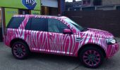 Filename : zebra FL2.JPG
Filesize : 147KB
Dimensions : 1024x600
Date added : Jun 04, 2015 zebra FL2.JPG