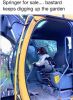 Filename : Dog.jpg
Filesize : 85KB
Dimensions : 569x770
Date added : May 09, 2016 Dog.jpg