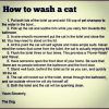 How to keep your pussey clean.jpg