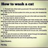 Filename : How to keep your pussey clean.jpg
Filesize : 122KB
Dimensions : 640x640
Date added : Dec 18, 2013 How to keep your pussey clean.jpg
