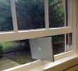 Mac supports Windows..!.JPG