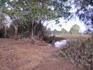 Filename : 2013_floods_101.JPG
Filesize : 304KB
Dimensions : 1280x960
Date added : Jan 31, 2013 2013_floods_101.JPG