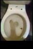 Filename : image~2.jpeg
Filesize : 36KB
Dimensions : 638x934
Date added : Sep 29, 2015 image~2.jpeg
