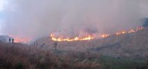 Filename : moorland fire.jpg
Filesize : 21KB
Dimensions : 800x373
Date added : Jan 11, 2016 moorland fire.jpg