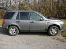 Freelander_6.jpg