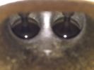 Filename : E1D2D99C-1B26-474E-BC79-271C976C957F.jpeg
Filesize : 55KB
Dimensions : 1280x960
Date added : Aug 06, 2018 E1D2D99C-1B26-474E-BC79-271C976C957F.jpeg