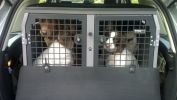 Filename : WP_20140809_019.jpg
Filesize : 241KB
Dimensions : 1704x959
Date added : Aug 16, 2014 WP_20140809_019.jpg