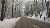 WP_20150121_08_56_19_Pro.jpg