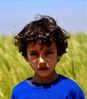 Filename : Ghalouch5.jpg
Filesize : 100KB
Dimensions : 842x959
Date added : Jan 13, 2020 Ghalouch5.jpg