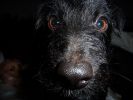 Filename : 007.JPG
Filesize : 203KB
Dimensions : 1280x960
Date added : Jan 04, 2014 007.JPG