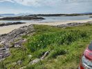 Filename : North trip 6.jpg
Filesize : 381KB
Dimensions : 1282x959
Date added : Jun 17, 2022 North trip 6.jpg