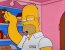 IMG_7437.gif
