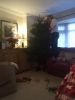 Filename : 23C283A5-EE1E-4597-A75E-3A2147C73515.jpeg
Filesize : 57KB
Dimensions : 720x960
Date added : Dec 09, 2018 23C283A5-EE1E-4597-A75E-3A2147C73515.jpeg