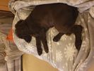 Filename : 4A71EB4D-6F72-40AF-9CC7-92ED1B3DBB49.jpeg
Filesize : 145KB
Dimensions : 1280x960
Date added : Dec 24, 2019 4A71EB4D-6F72-40AF-9CC7-92ED1B3DBB49.jpeg