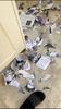 Filename : 969F767F-F1A0-47C5-AD7C-F7A370370FC6.jpeg
Filesize : 51KB
Dimensions : 539x959
Date added : Jan 12, 2022 969F767F-F1A0-47C5-AD7C-F7A370370FC6.jpeg