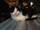 Filename : IMG_1574.JPG
Filesize : 173KB
Dimensions : 1280x960
Date added : Sep 09, 2017 IMG_1574.JPG