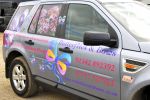 ButterfliesBows-Freelander 006.JPG