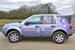 ButterfliesBows-Freelander 008.JPG