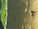 Filename : 55A63A52-D561-4BA9-8870-72E8F454E8D0.jpeg
Filesize : 143KB
Dimensions : 1280x960
Date added : Jan 30, 2022 55A63A52-D561-4BA9-8870-72E8F454E8D0.jpeg