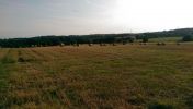 Filename : IMAG1419.jpg
Filesize : 320KB
Dimensions : 1697x960
Date added : Aug 16, 2014 IMAG1419.jpg