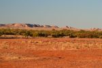 DSC_0455.JPG