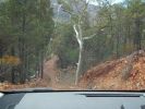 off road 2.jpg
