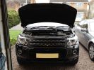 Filename : Freelander 2.10.jpg
Filesize : 291KB
Dimensions : 1280x960
Date added : Mar 19, 2014 Freelander 2.10.jpg
