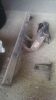 Filename : 2015-10-04 15.26.24.jpg
Filesize : 94KB
Dimensions : 542x960
Date added : Oct 13, 2015 2015-10-04 15.26.24.jpg