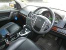 Freelander10.jpg