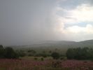 IMG-20140205-WA0002.jpg