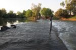 Filename : 20180523171700.JPG
Filesize : 131KB
Dimensions : 720x480
Date added : Jul 01, 2018 20180523171700.JPG