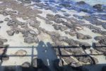 Filename : 20180705123003.JPG
Filesize : 153KB
Dimensions : 720x480
Date added : Jul 13, 2018 20180705123003.JPG