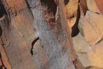 Filename : IMG_1021-karijini.jpg
Filesize : 61KB
Dimensions : 720x480
Date added : Aug 09, 2018 IMG_1021-karijini.jpg