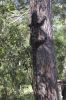 Filename : IMG_1095.jpg
Filesize : 171KB
Dimensions : 640x960
Date added : Jan 07, 2017 IMG_1095.jpg