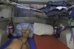 Filename : IMG_1337-sleeping-area.jpg
Filesize : 35KB
Dimensions : 720x480
Date added : Aug 07, 2018 IMG_1337-sleeping-area.jpg