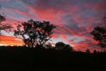 Filename : IMG_1465-sunset.jpg
Filesize : 128KB
Dimensions : 1440x960
Date added : Jan 20, 2018 IMG_1465-sunset.jpg
